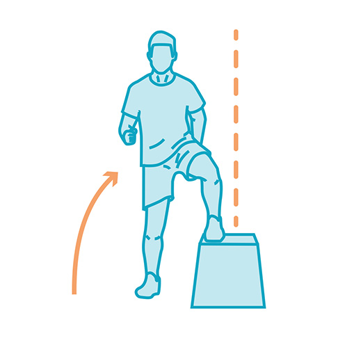 hypertrophier le grand fessier
