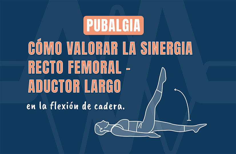 Pubalgia: Cómo valorar la sinergia Recto Femoral – Aductor Largo en la flexión de cadera