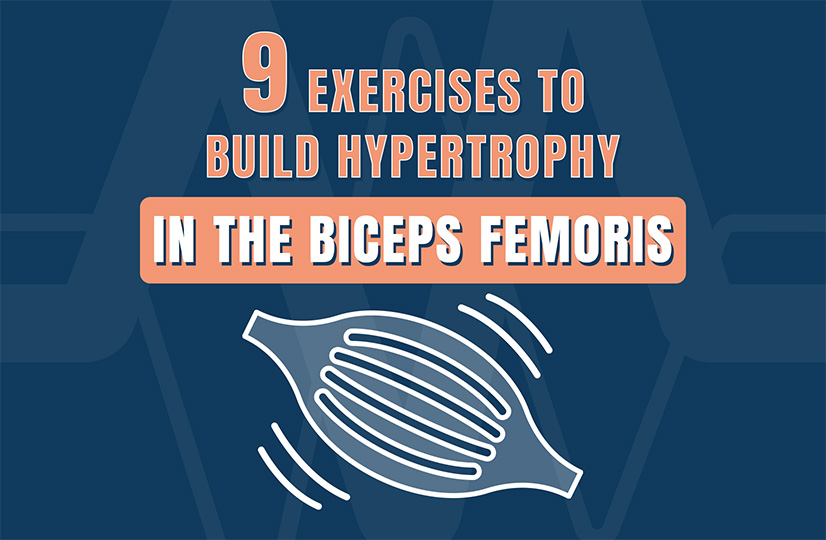 9 Exercises to Build Hypertrophy in the Biceps Femoris
