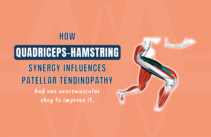 How Quadriceps–Hamstring Synergy Influences Patellar Tendinopathy