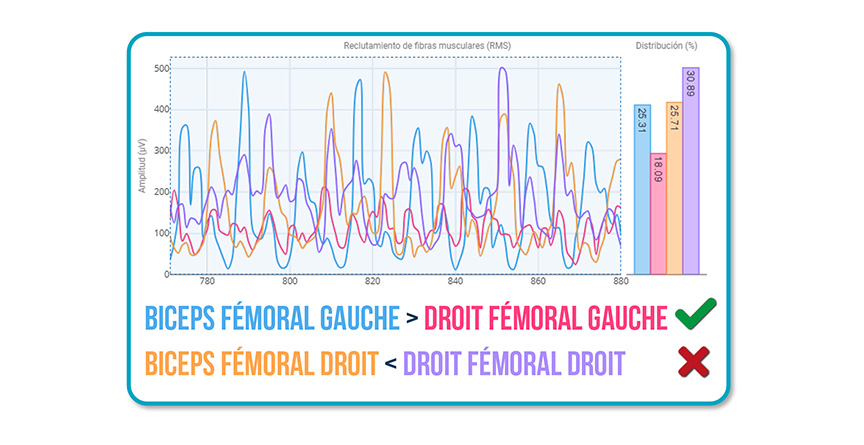 schéma d’activation lors de la marche