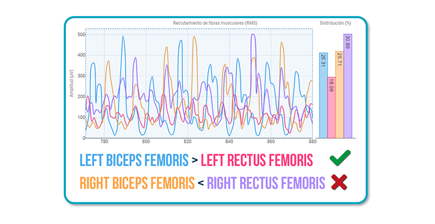 Muscle Activation Patterns During Walking