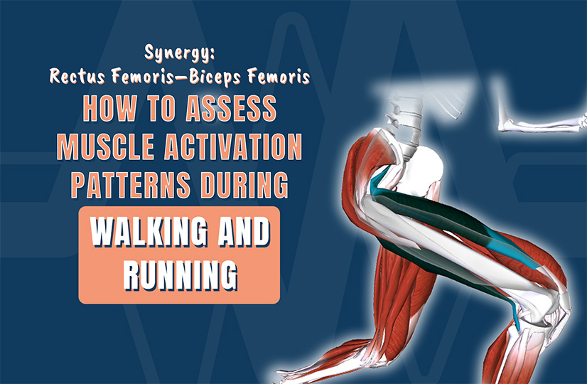 How to Assess Muscle Activation Patterns During Walking and Running