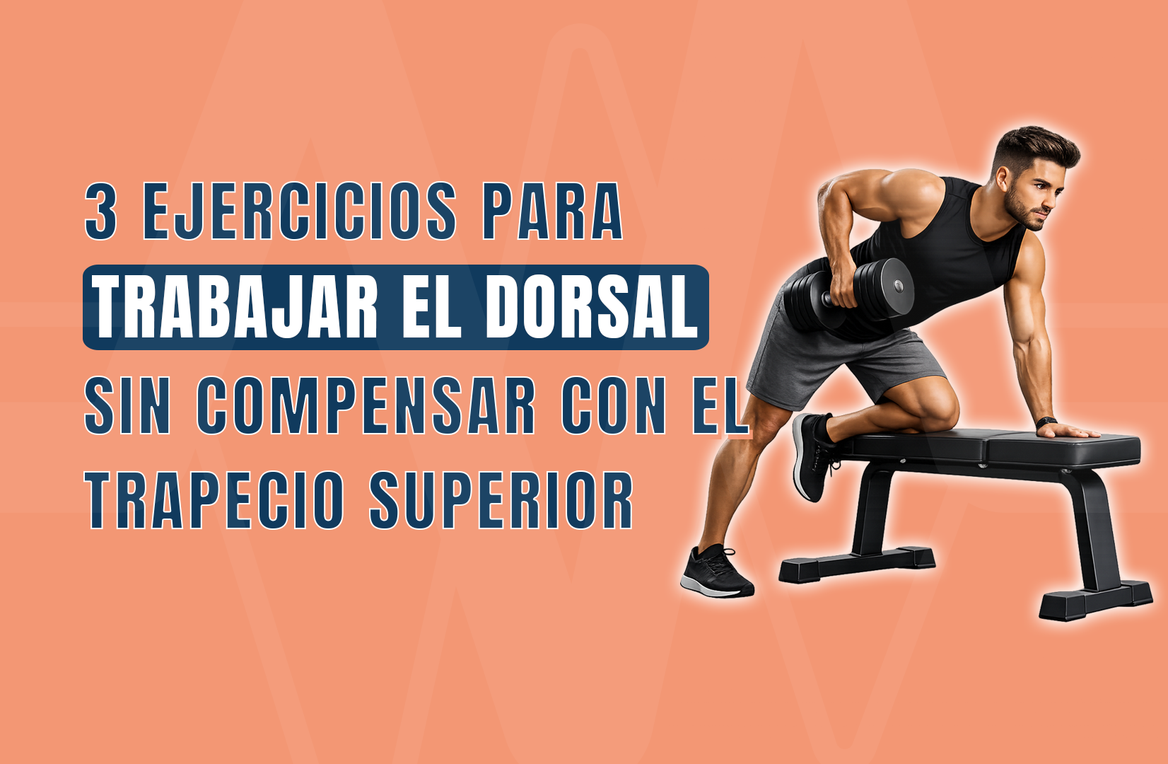 3 ejercicios para trabajar el dorsal sin compensar con el trapecio superior