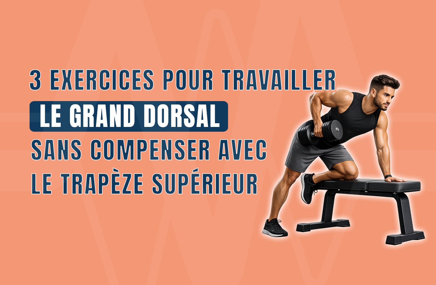 3 exercices pour travailler le grand dorsal sans compenser avec le trapèze supérieur