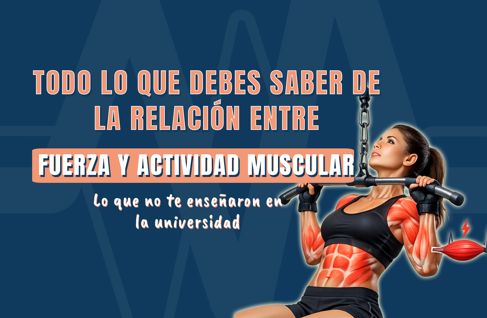 Todo lo que debes saber de la relación entre fuerza y actividad muscular