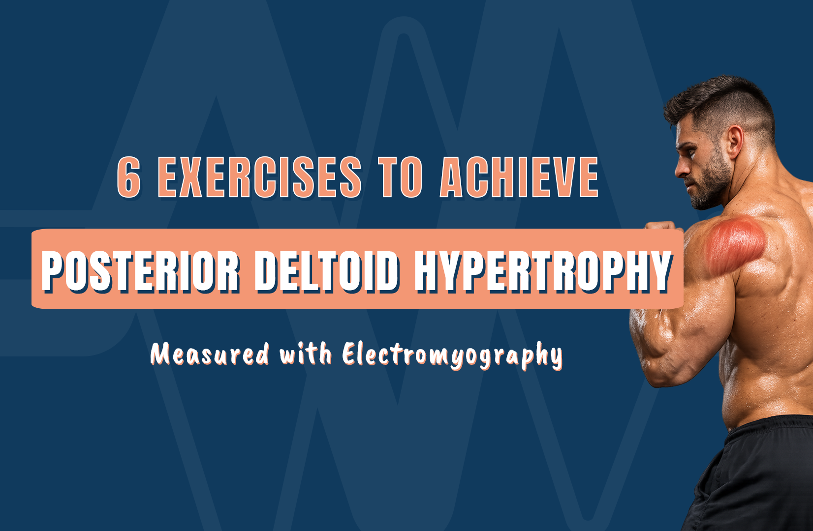 6 Exercises to Achieve Posterior Deltoid Hypertrophy