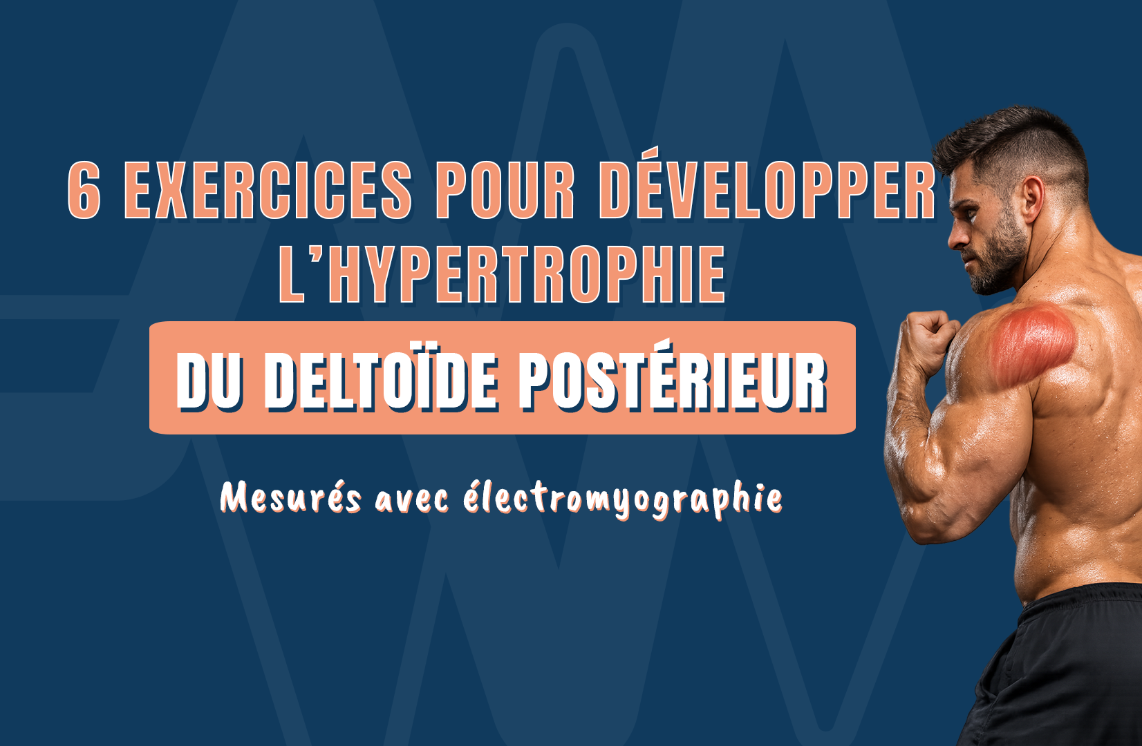6 exercices pour développer l’hypertrophie du deltoïde postérieur