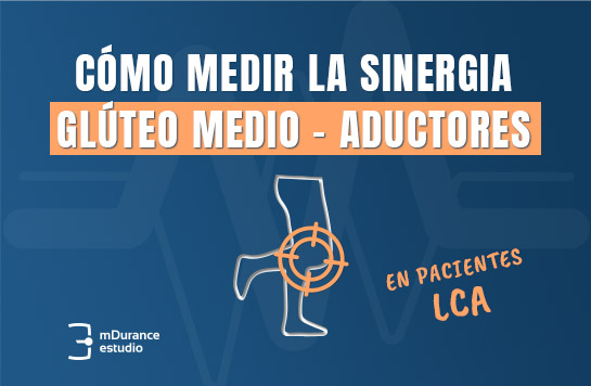 synergie moyen fessier et les adducteurs LCA